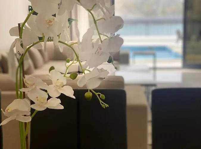 The Pearl Villa - Swimming Pool With Sea And Mountain View - Al Dana Island Fujaira